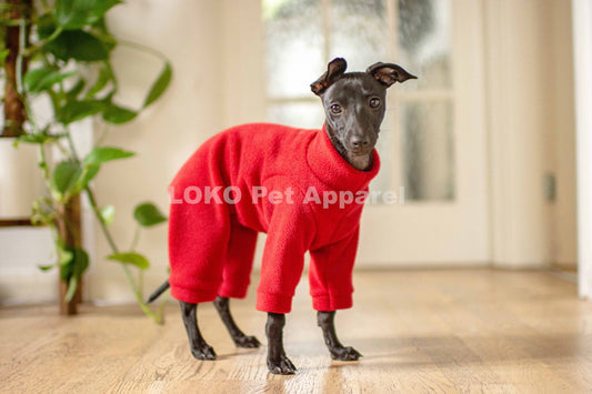 Puppy Fleece Basics