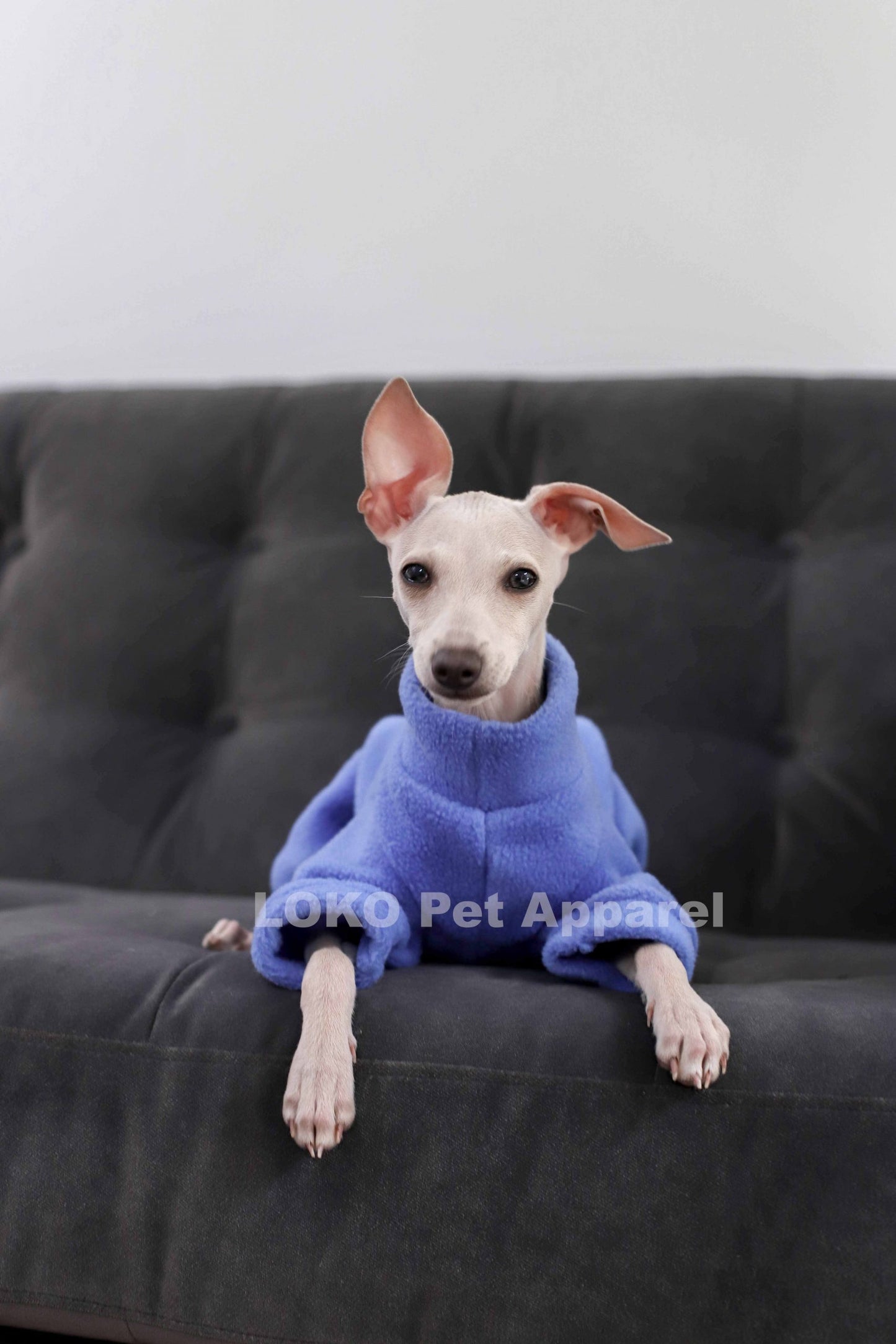 Puppy Fleece Basics