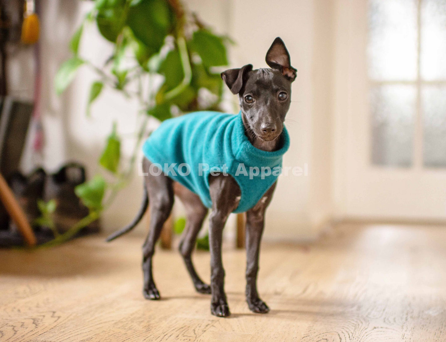 Puppy Fleece Basics