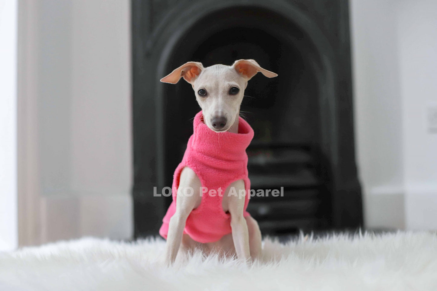 Puppy Fleece Basics