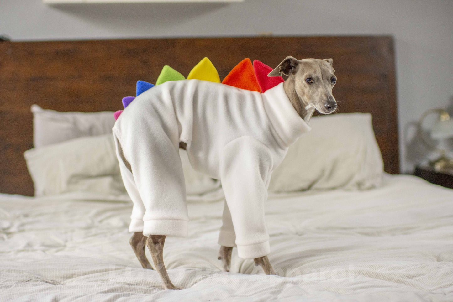 Dinosaur Onesie Rainbow Edition