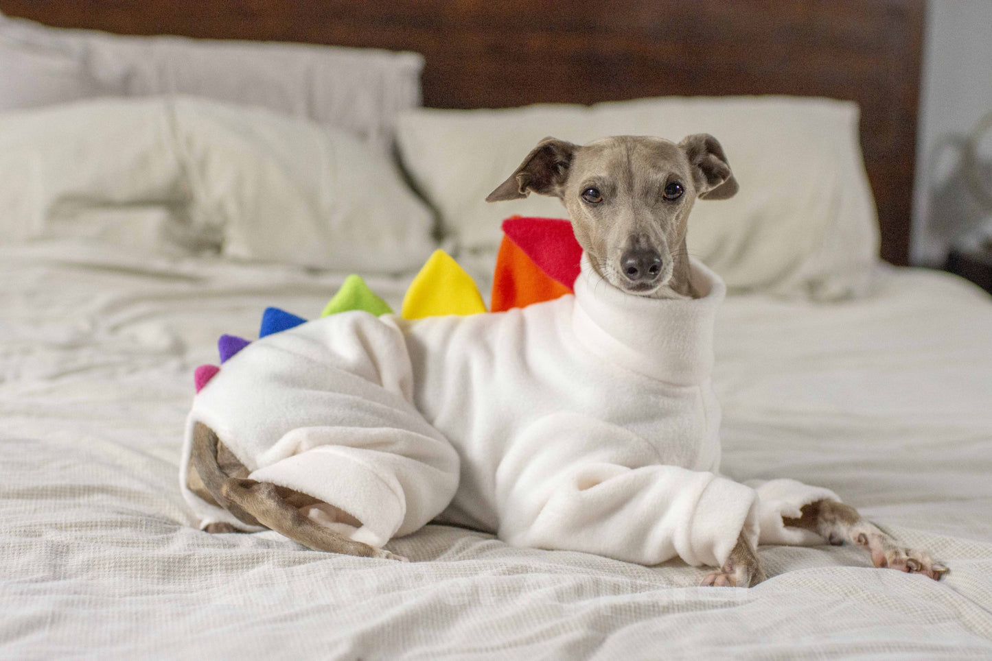 Dinosaur Onesie Rainbow Edition