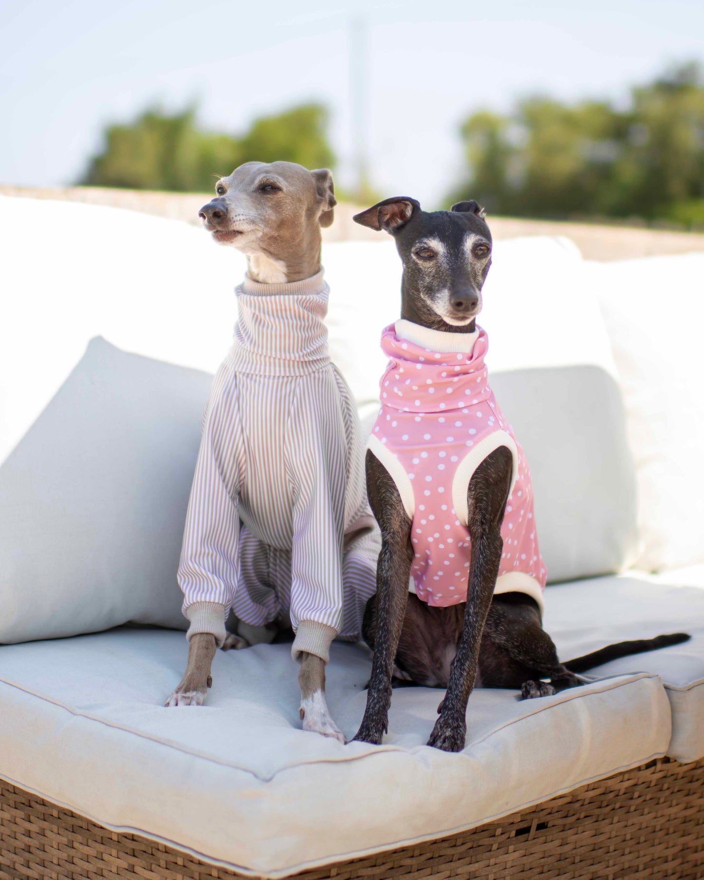 Sun Suits