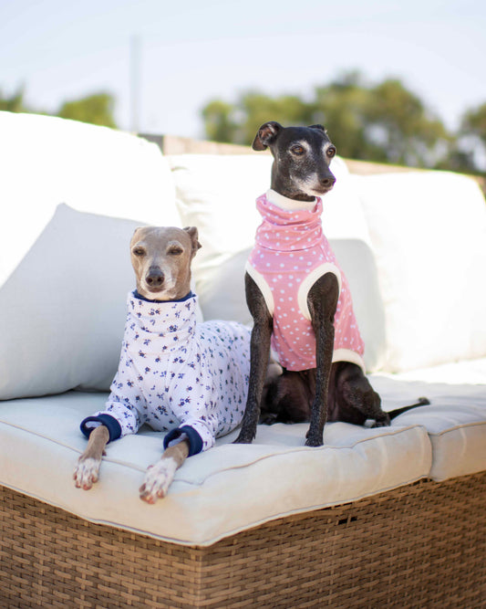 Sun Suits