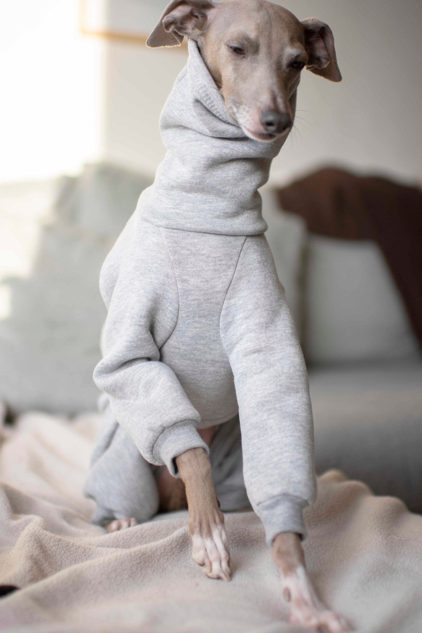 Sweatshirt Onesie