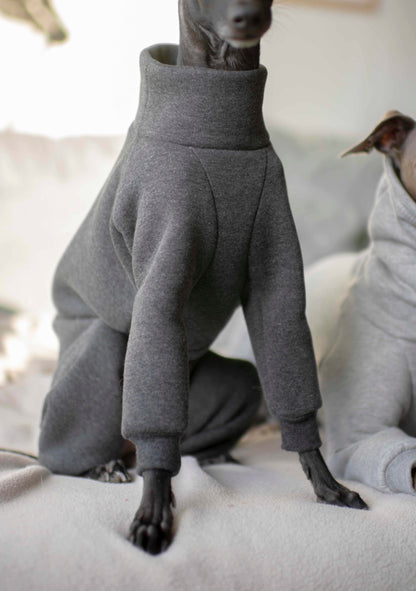 Sweatshirt Onesie