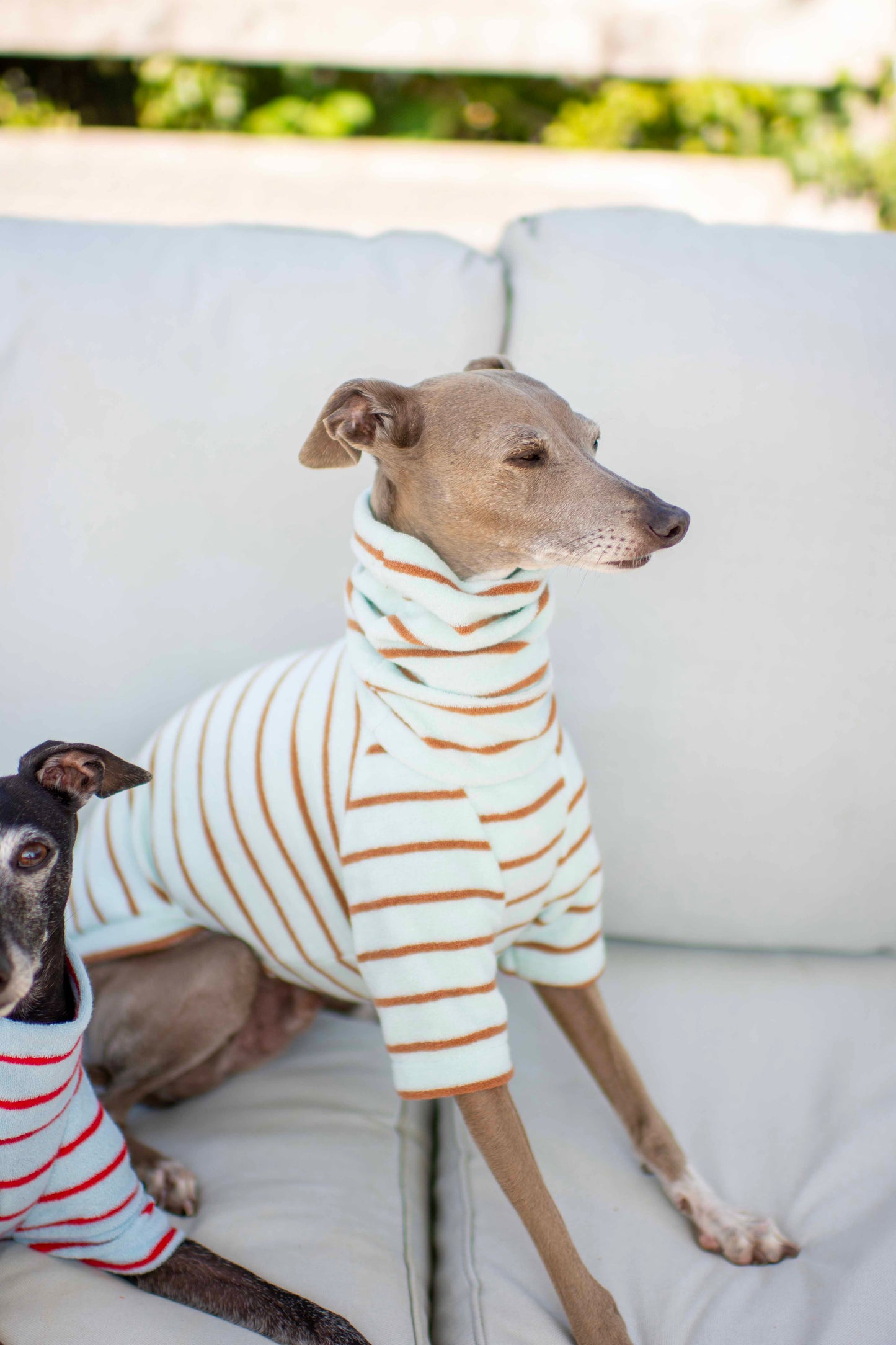 Towelling Jersey Tops