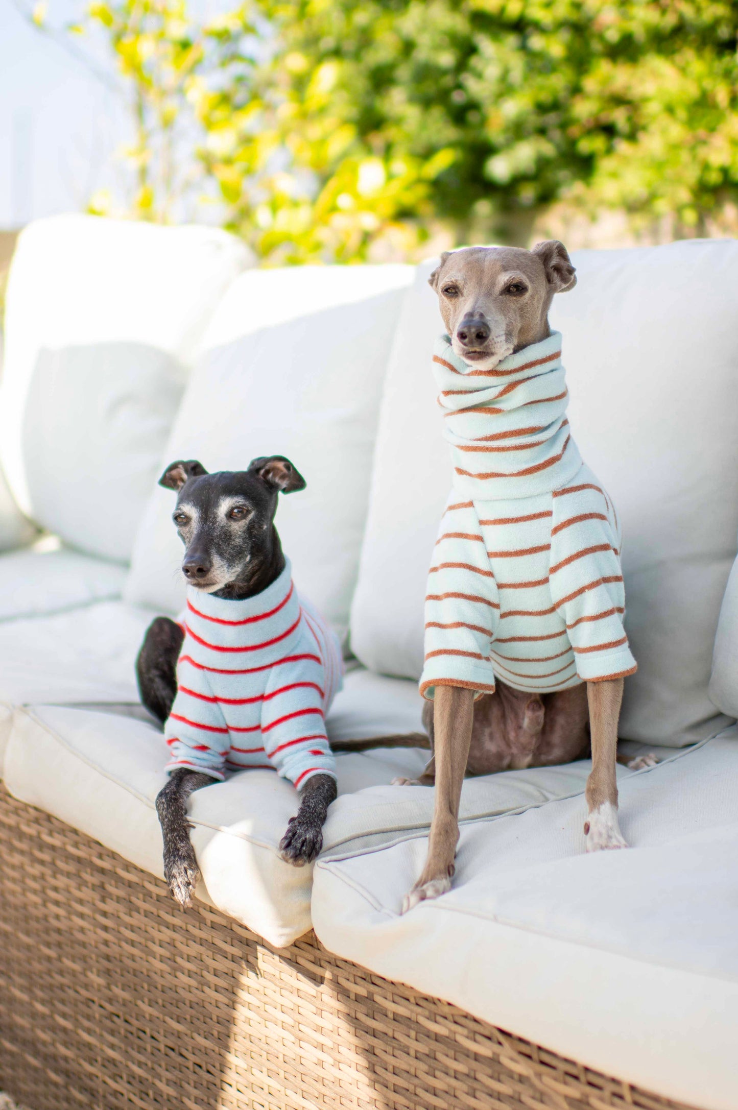 Towelling Jersey Tops
