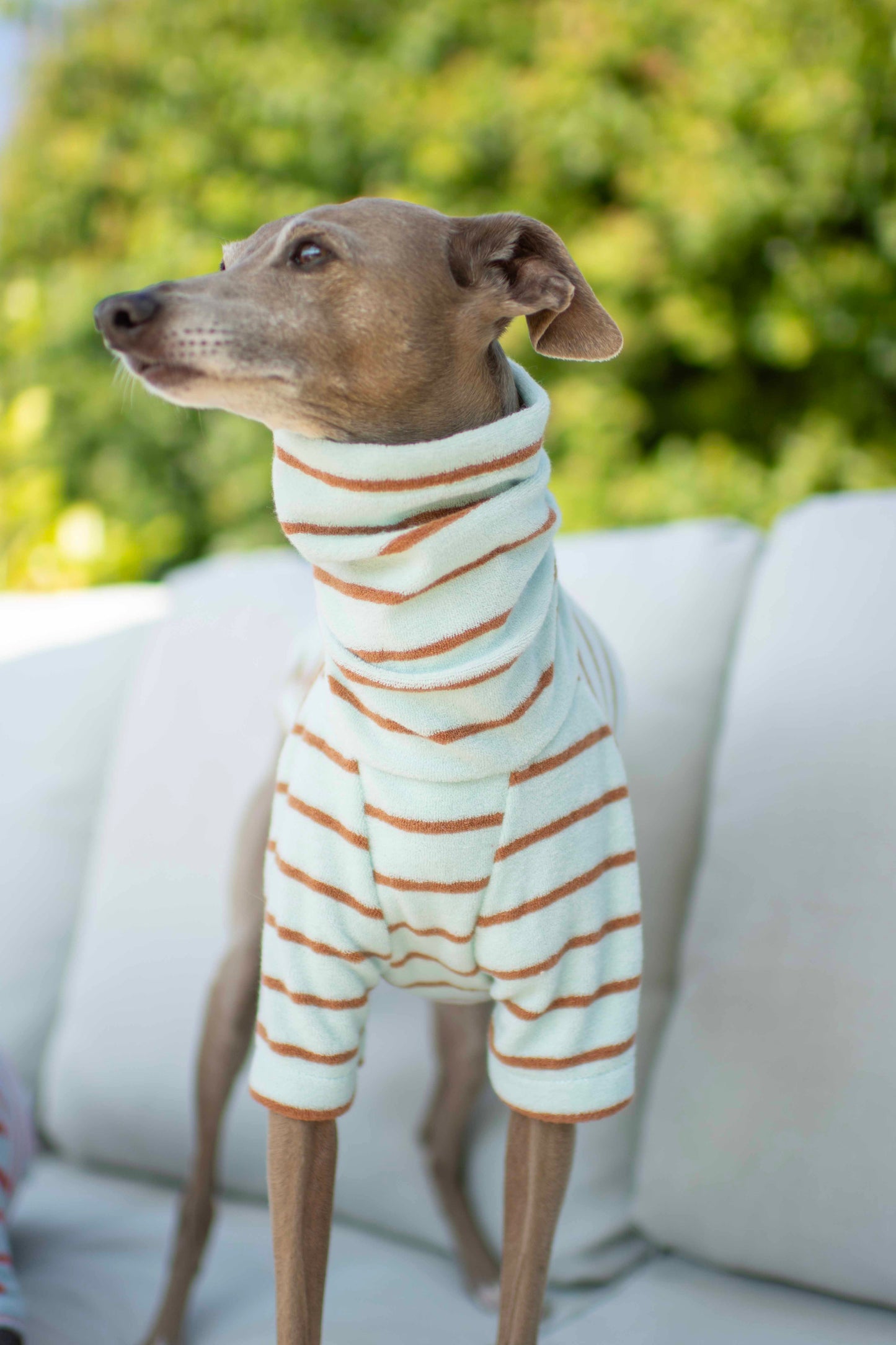 Towelling Jersey Tops