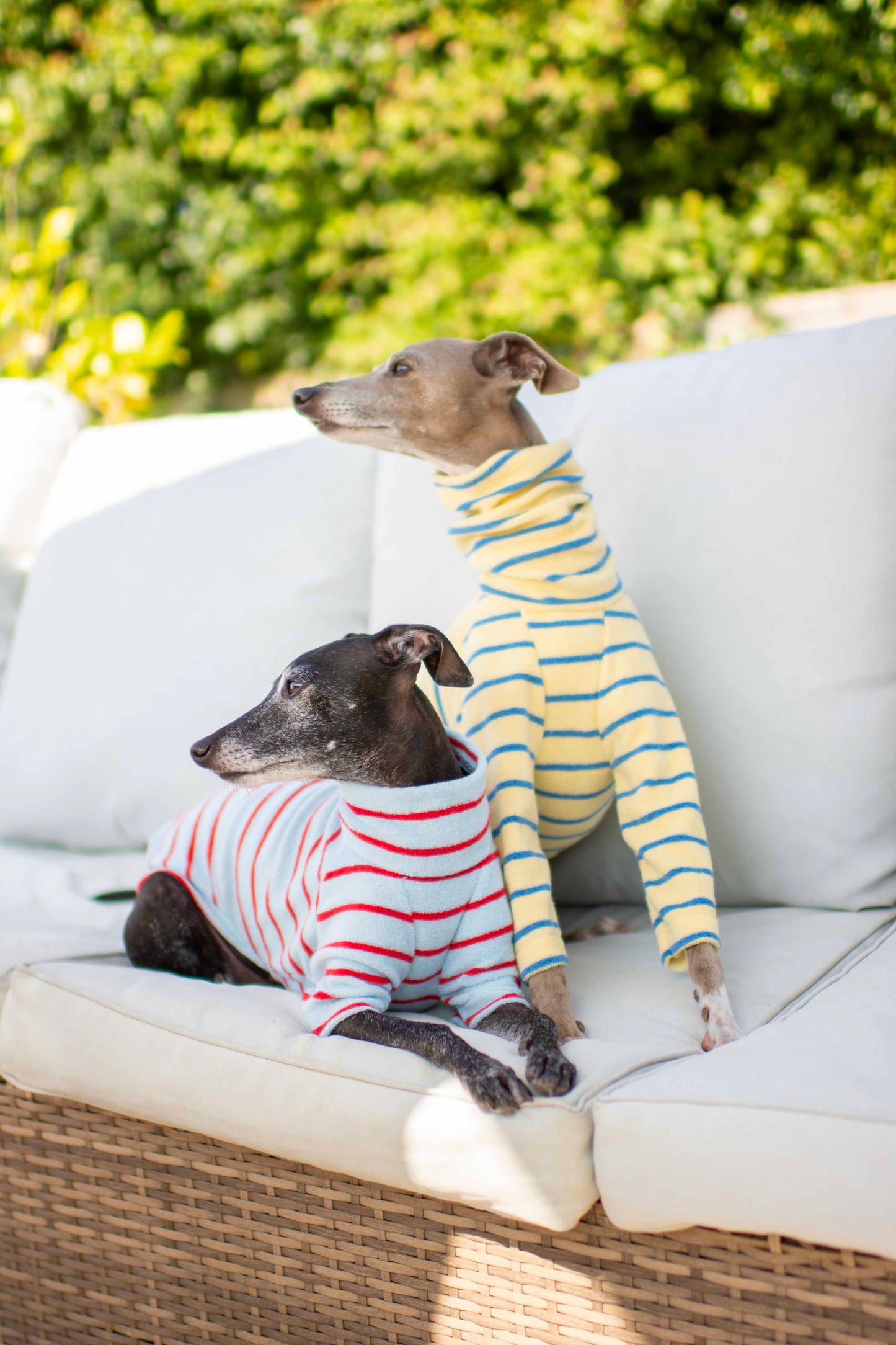 Towelling Jersey Tops