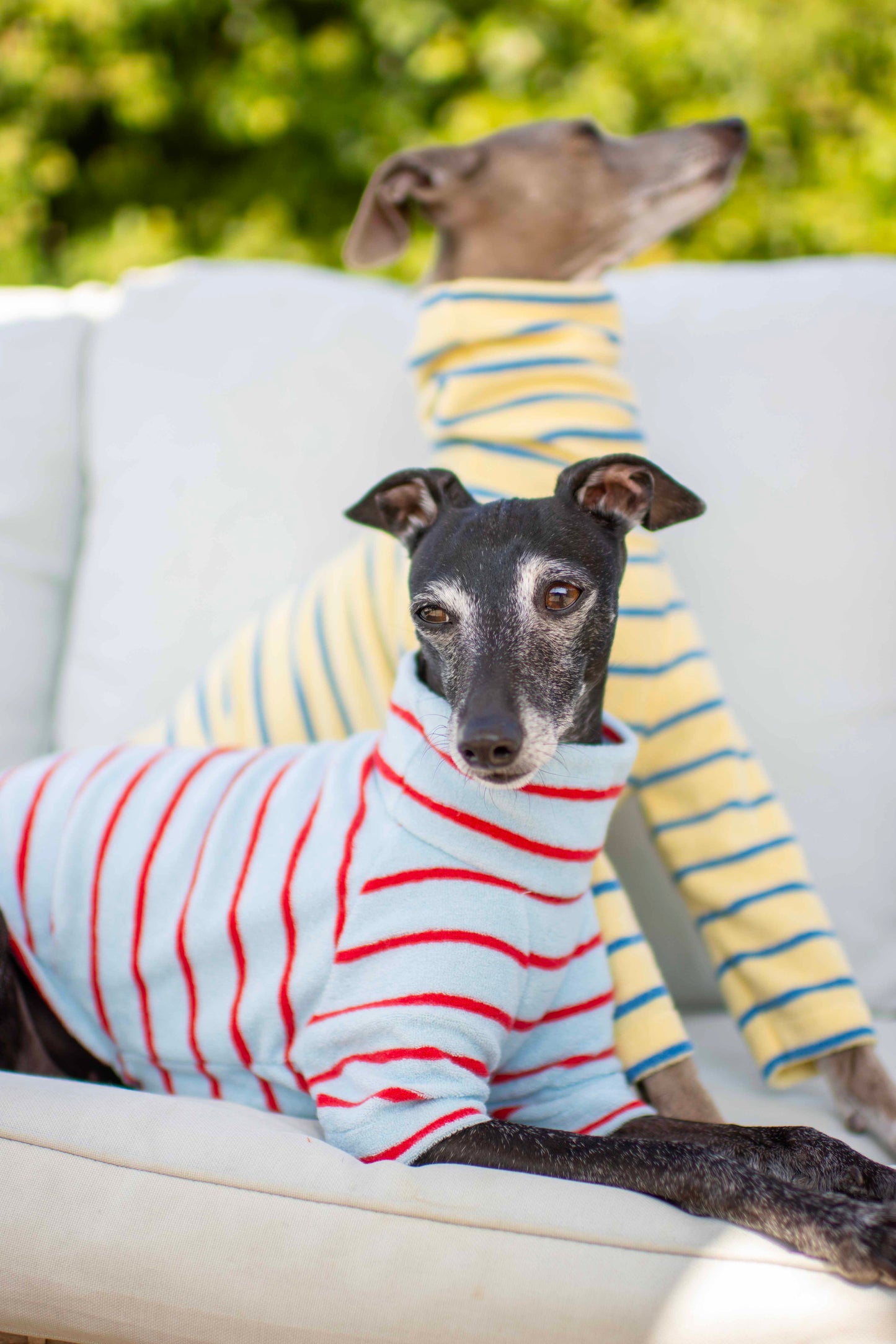 Towelling Jersey Tops