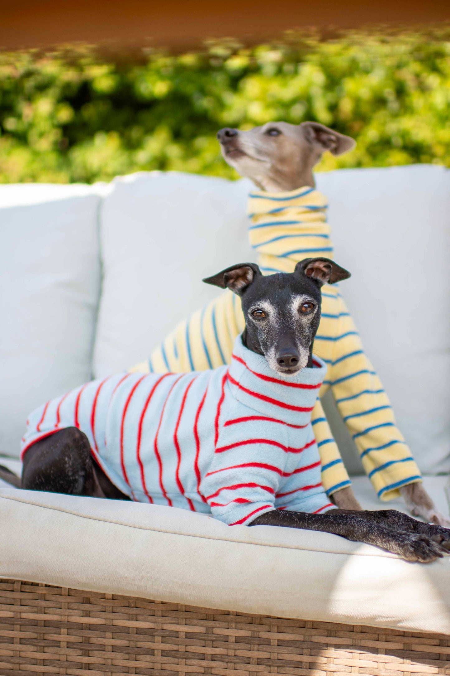 Towelling Jersey Tops