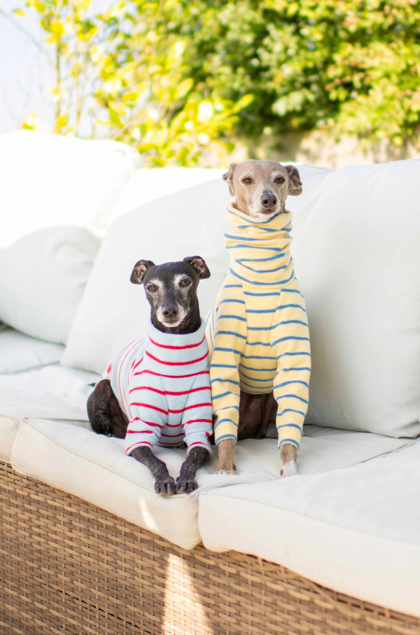 Towelling Jersey Tops