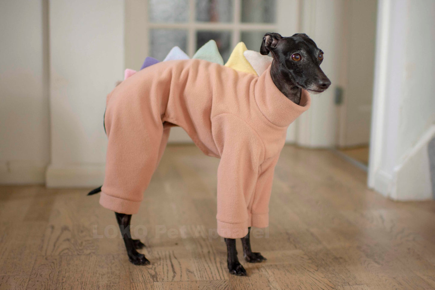 Dinosaur Onesie Unicorn Edition