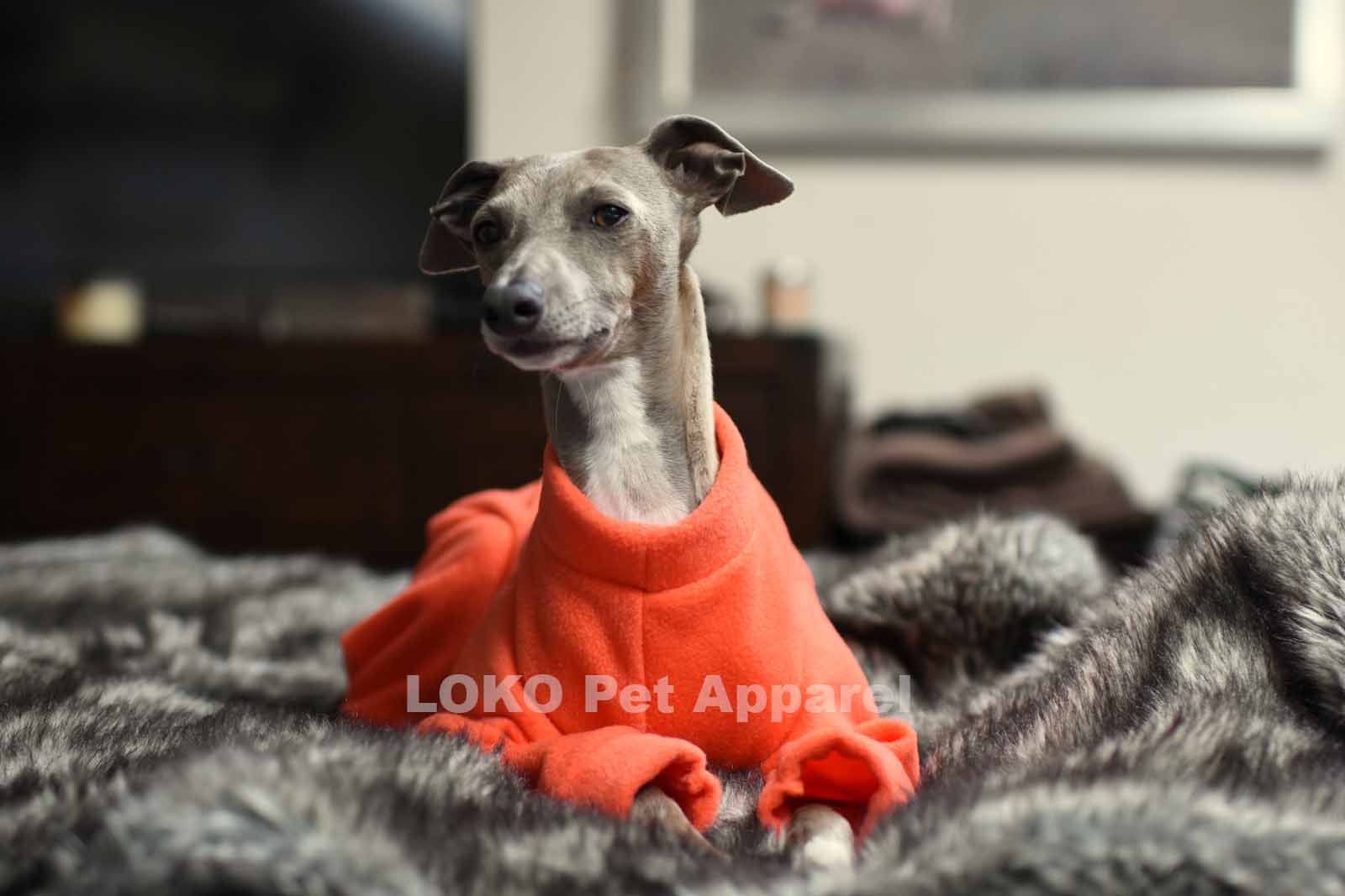 Lullaby Onesie Soft fleece Fabric for Italian Greyhound & Whippet jammies