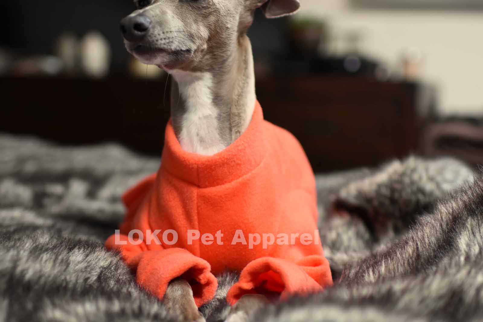 Rusty Doggy Onesie with Ultra Soft Fabric for Italian Greyhound /& Whippet Sweater
